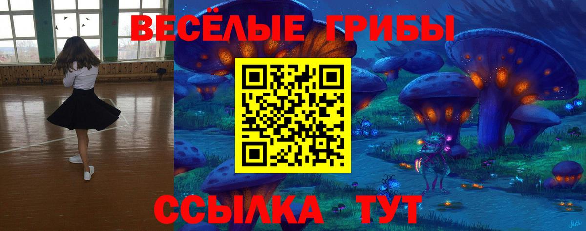 Галлюциногенные грибы мицелий Людиново